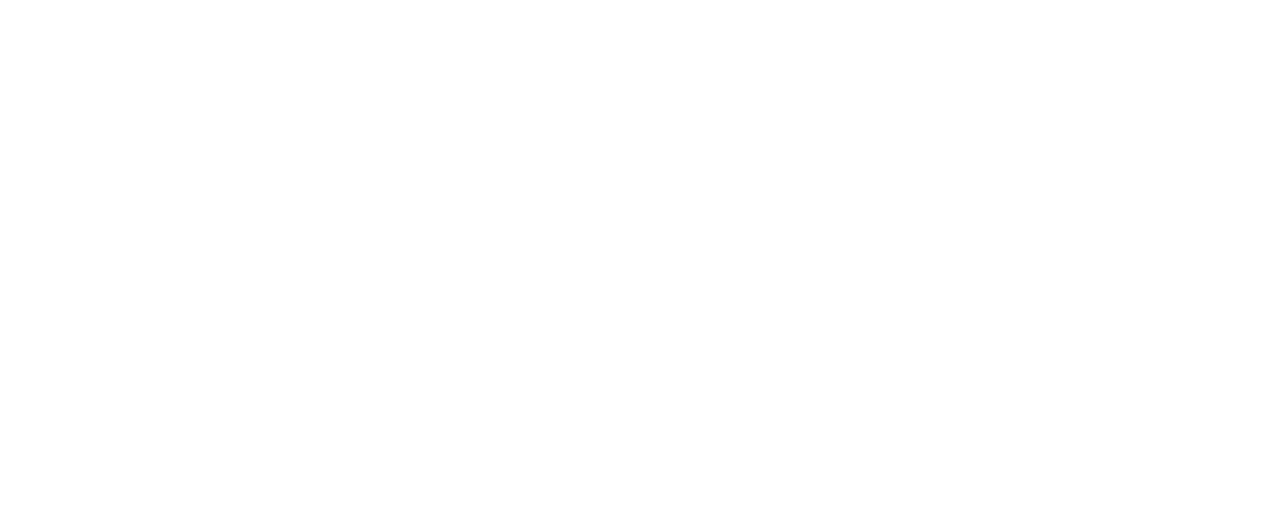 Opción Seguros